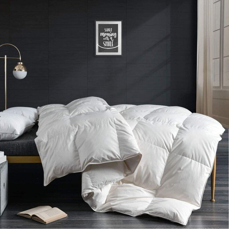 Alwyn Home All Season 650 Fill Power Goose Feathers Down Comforter