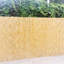 100cm H x 400cm W Reed Border Fencing