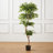 Amee 61" H Creative Shaped Faux Ficus Tree in Pot