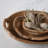 Birch Lane™ Heathcliff Teak Serving Bowl