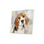 Beagle imprimé sur verre acrylique-87882119