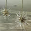 Lustre Parik II