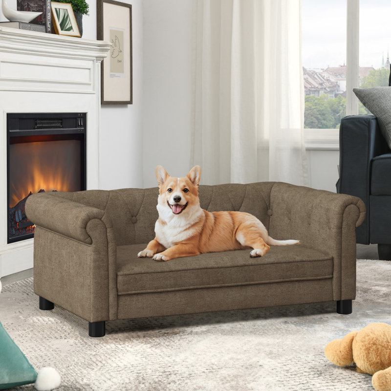 Élégant lit pour animaux de compagnie rectangulaire pour petits et moyens chiens, canapé-lit surélevé durable, canapé pour chien confortable, canapé pour chien en lin moderne et tendance