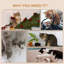 Cat Perch-102400450