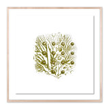 Green Golden Imprint 6 Print by Anne Mersmann