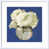 Motif argent
