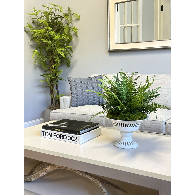 Boston Fern and Moss Arranged in Ceramic Vase