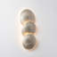REEF Wall Sconce