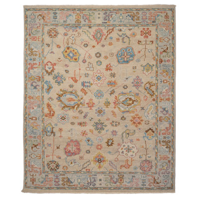 Sujanti Performance Hand Knotted Wool Oriental Indoor Rug