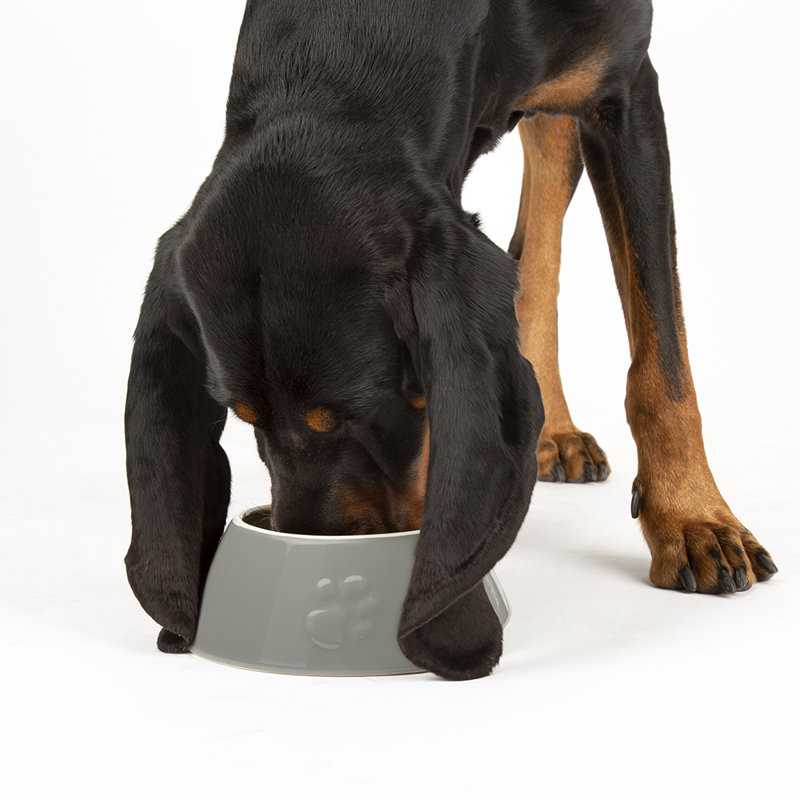 Pet Bowl