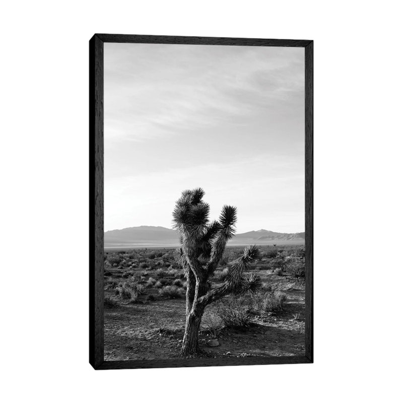 Joshua Tree Sunrise III by Bethany Young - Print on Canvas, Black Framed, 66.04cm H x 45.72cm W x 3.81cm D