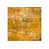 Plexi
