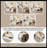 Full Size Daybed With Removable Desk, Storage Drawers & Hydraulic Side Table, White-757847662