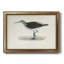 Morris Sandpipers VI - Peinture sur toile encadrée