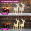 Décoration de Noël renne de Noël avec lumière DEL acrylique-1845630632-1833962567