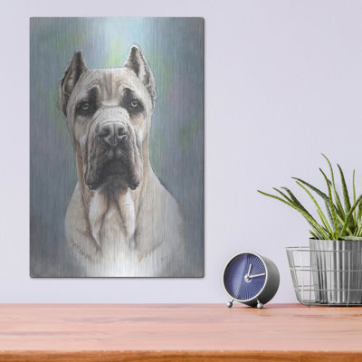 " Cane Corso 2 " by Barbara Keith