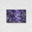 «Mauve Thoguthsh» par la NASA Space Photos-2041246382