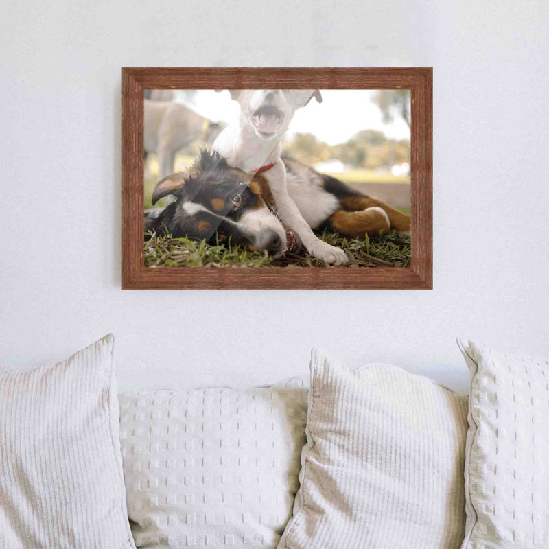 Cadre photo en bois massif Matiza, Brun, 18 po x 20 po