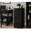 Kayla 3 - Drawer Solid Wood File Cabinet-729934730