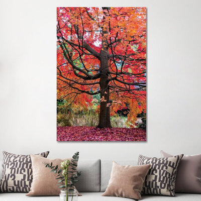 Marvelous Maple by Lars Van De Goor - Wrapped Canvas Print