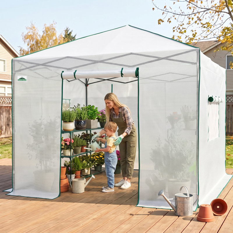 Serre Pop-Up 10 'x 10', Blanc