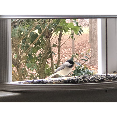 Mangeoire à oiseaux Krick View