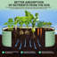 Planter-596317413-596317412