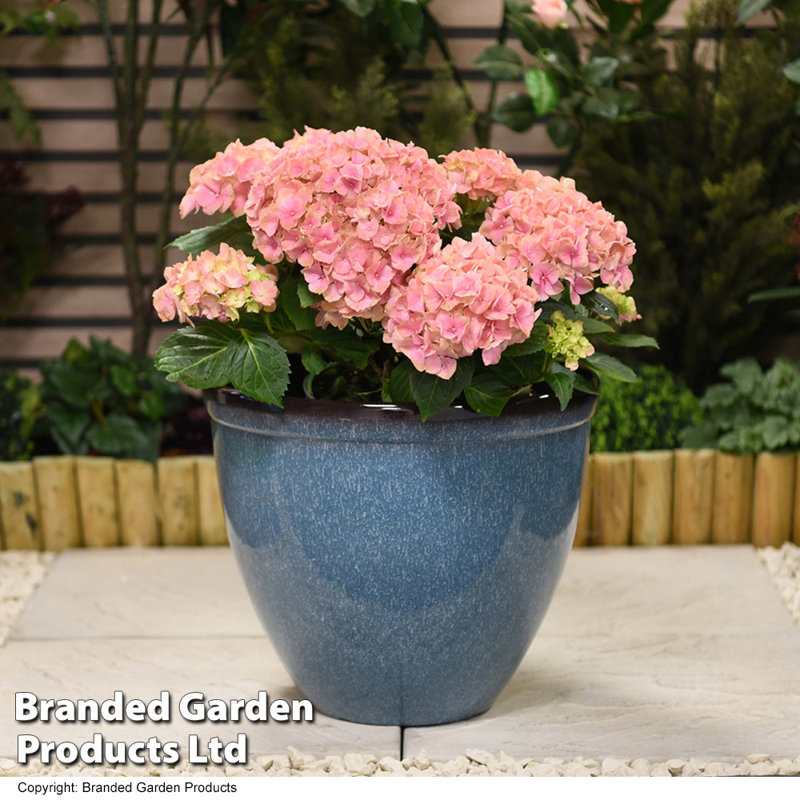 Billiter Plant Pot Triple Pack