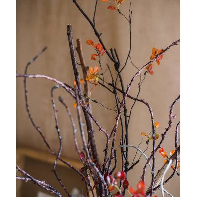 Ikebana Twig Branch