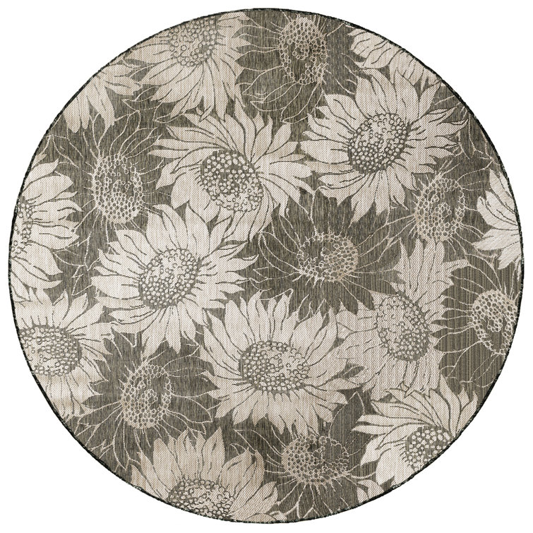 Bergholt Floral Indoor / Outdoor Rug