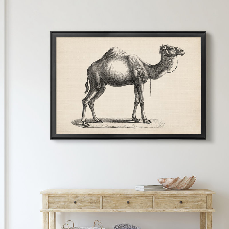 Brodtmann Dromedary - Reproduction d'art sur toile encadrée, Noir, H 26,5 po x l 36,5 po x P 1,5 po
