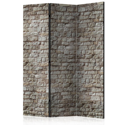 Reality Room Divider