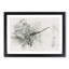 Perched Dragonfly - Framed Print-56851628-56851634
