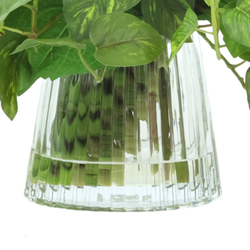 Lierre suspendu dans un vase en verre