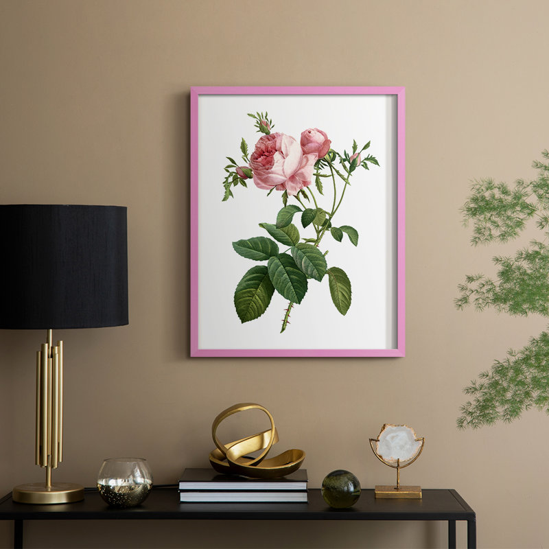 «Botanical Beauty IV», reproduction encadrée - bois massif, Rose, H 21 po x l 17 po