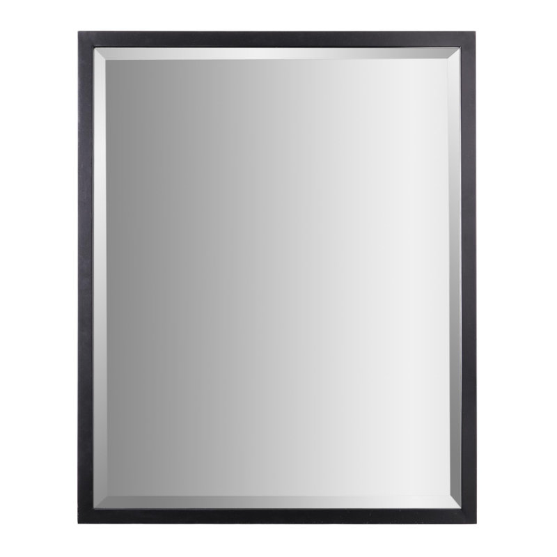 Miroir de salle de bain Wilguy, 24 po x 30 po, Noir