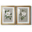 Magnolia botanique - ensemble de 2 reproductions d'art-512224778-512224786-512224788