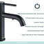 Mono Basin Mixer-497834660