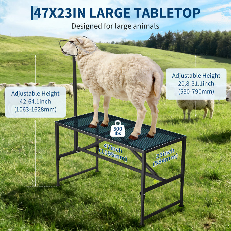 Adjustable Goat & Sheep Milking Stand, 47" x 23" Heavy-Duty Livestock Grooming Table with Headpiece & Nose Loop, 500 Lb. Capacity，with gloves