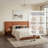 Modern Wide-Panel Upholstered Bed, Queen, Orange Velvet-324293339-324293341