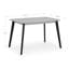 Aramis Solid Wood Base Dining Table-452119911-452119896