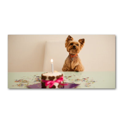 Dog With Cake - Wrapped Canvas Print