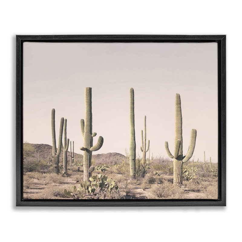 «Blush Cactus Field», encadré doré sur toile flottante par Sissi et Seb, Cadre flottant noir de jais, H 25 po x l 31 po