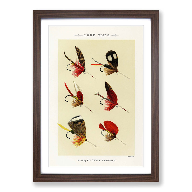 Lake Fishing Flies Version 5 by Mary Orvis Marbury - Picture Frame Painting Print, 50cm H x 35cm W x 2cm D, Walnut