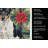 Black and White Rat Terrier Christmas PoinsettIas Kitchen Towel-2080584050
