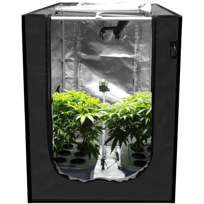 Tente de culture hydroponique résistante à l'eau, plateau de sol amovible et sac à outils, avec fenêtre d'observation, pour la plantation de semis à l'intérieur d'iPower, fleur, noir
