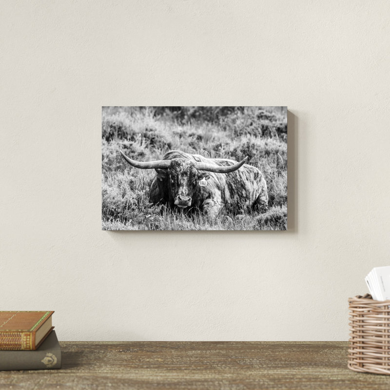 B&W Longhorn III, H 8 po x l 12 po x P 1,25 po