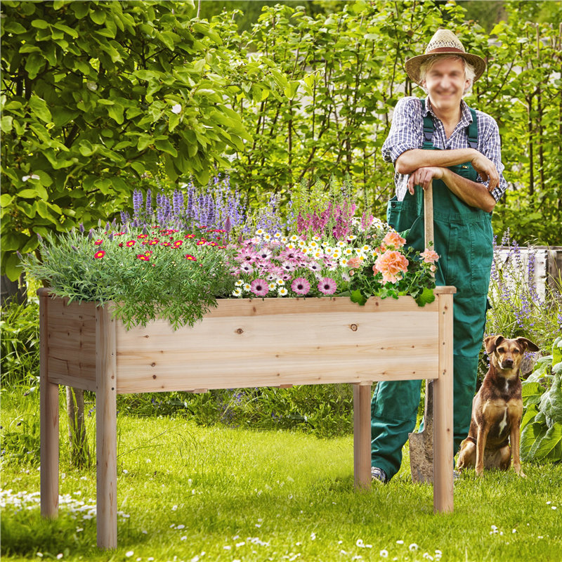 Rectangle Wood  Planter Raised Bed, Wood
