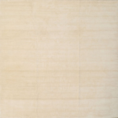 Indoor Rug