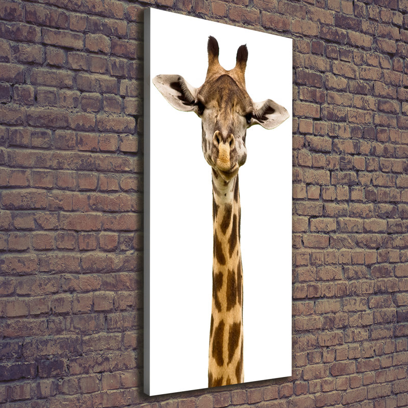Giraffe - Wrapped Canvas Print